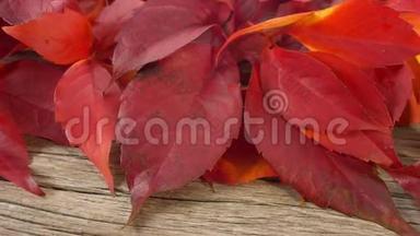 秋季概念，旧木背景上的红叶，复制空间